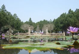 Pagoda de Thien Mu